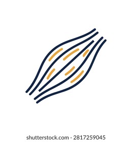 Muscle Fat Infiltration Icon Containing muscle tissue, fat infiltration, muscle health, and outline illustration. Outline illustration