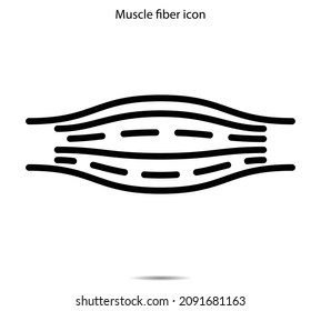 Muscle Fiber Icon Vector Illustration Graphic On Background