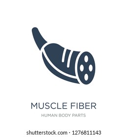 Muscle Fiber Icon Vector On White Background, Muscle Fiber Trendy Filled Icons From Human Body Parts Collection, Muscle Fiber Vector Illustration