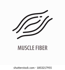 Muscle Fiber Line Icon. Logo Design Template. Vector Illustration On White Background.