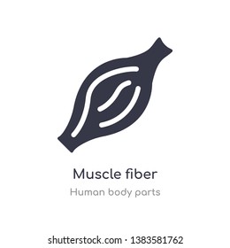 Muscle Fiber Outline Icon. Isolated Line Vector Illustration From Human Body Parts Collection. Editable Thin Stroke Muscle Fiber Icon On White Background