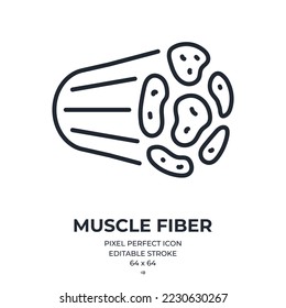 Premium Vector  Abs muscle icon outline vector muscular arm strength fiber