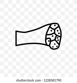 Muscle Fiber vector linear icon isolated on transparent background, Muscle Fiber transparency concept can be used for web and mobile