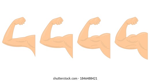 Muscle growth after exercising. Strong arm with contracted biceps. 