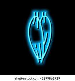 muscle human anatomy neon light sign vector. muscle human anatomy illustration