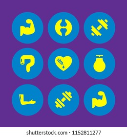 muscle icon. 9 muscle set with joint, dumbbell, anatomy and pain vector icons for web and mobile app