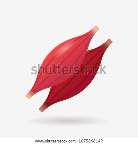 muscle icon human internal organ anatomy healthcare medicine concept flat vector illustration