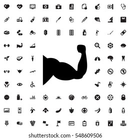 muscle icon illustration isolated vector sign symbol
