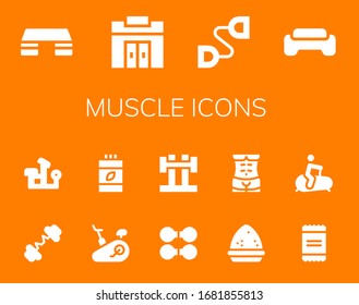 conjunto de iconos musculares. 14 íconos musculares llenos.  Iconos modernos sencillos, como: Fitness step, Gimnasio, Extensor Chest, Barbell, Prensa de banco, Bicicleta estacionaria, Vitaminas, Dumbbell, Polvo, Cuerpo humano