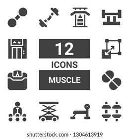 muscle icon set. Collection of 12 filled muscle icons included Dumbbell, Bench press, Lift, Trainer, Vitamin, Weight, Stretching, Barbell, Gym bars