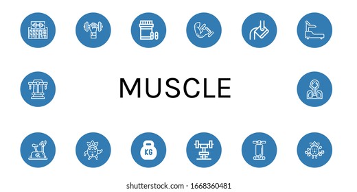 muscle icon set. Collection of Gym, Dumbbell, Analgesic, Heavy, Fitness, Stationary bike, Strong, Kettlebell, Abdominal bench, Exercise, Bench press, Human organs icons