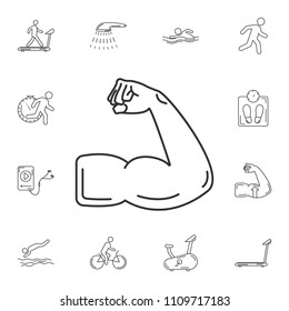 Muscle icon. Simple element illustration. Muscle symbol design from Gym and Health collection set. Can be used for web and mobile on white background
