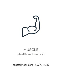 Muscle icon. Thin linear muscle outline icon isolated on white background from health collection. Line vector sign, symbol for web and mobile