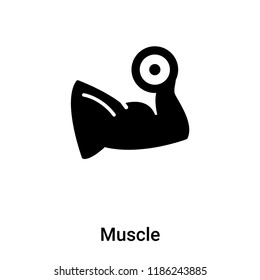 Muscle icon vector isolated on white background, logo concept of Muscle sign on transparent background, filled black symbol