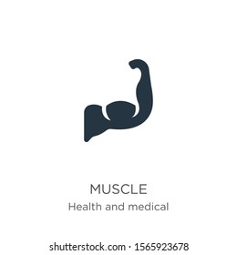 Muscle icon vector. Trendy flat muscle icon from health collection isolated on white background. Vector illustration can be used for web and mobile graphic design, logo, eps10