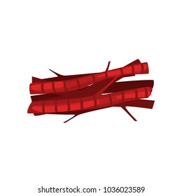 Muscle innervation, connective tissue vector Illustration on a white background