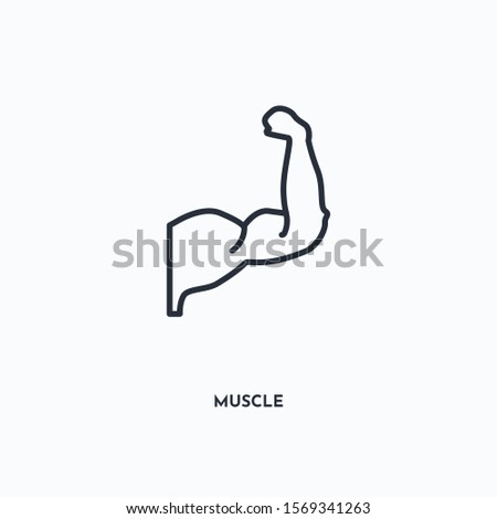 muscle outline icon. Simple linear element illustration. Isolated line muscle icon on white background. Thin stroke sign can be used for web, mobile and UI.