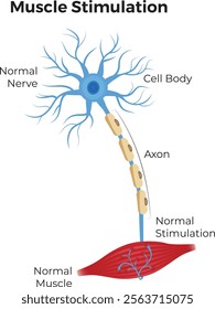 Muscle Stimulation Design Vector Illustration