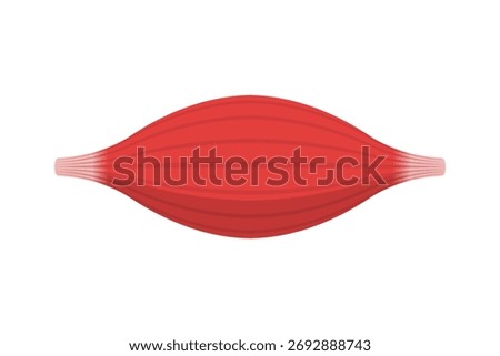 Muscle structure anatomy illustration. Human muscle fibers and body tissue concept. Medical and biological education visualization. Flat vector illustration isolated on white background.