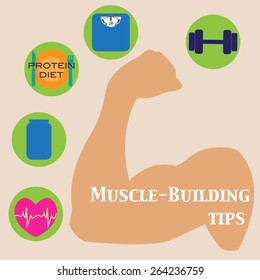Muscle-building tips. Vector illustration of fitness equipment, nutrition, lose wight, healthy food.