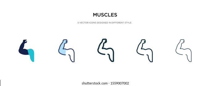 muscles icon in different style vector illustration. two colored and black muscles vector icons designed in filled, outline, line and stroke style can be used for web, mobile, ui
