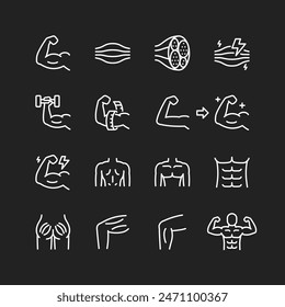 Muscles icon set, white lines on black background. Muscle tissue, structure, different body parts. Strength, bodybuilding, gym training. Customizable line thickness