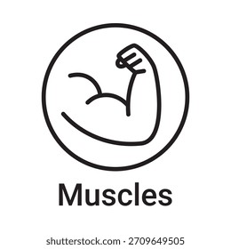 Icono de los músculos. Símbolo de línea de Vector para un Sitio web, tarjeta de producto, presentación y App móvil, embalaje o instrucción. Signo de esquema editable