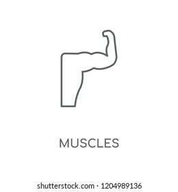 Muscles linear icon. Muscles concept stroke symbol design. Thin graphic elements vector illustration, outline pattern on a white background, eps 10.