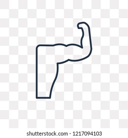 Muscles vector outline icon isolated on transparent background, high quality linear Muscles transparency concept can be used web and mobile