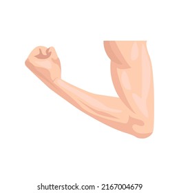 Muscular arm flat icon. Colored vector element from body parts collection. Creative Muscular arm icon for web design, templates and infographics.