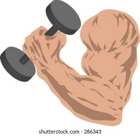 Muscular arm holding barbells