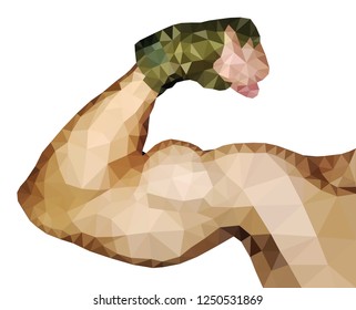 Muscular biceps, low poly vector illustration.