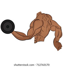 Muscular bodybuilder guy doing exercises with dumbbells Isolated white background