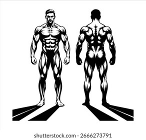 Muskulöser Bodybuilder Posing mit Flexing Shadow Silhouette
