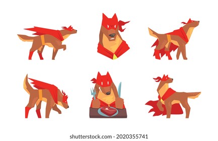 Muscular Brown Dog in Superhero Red Cloak as Guard Vector Set