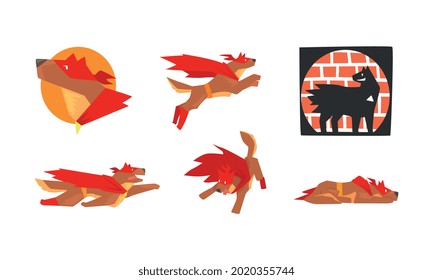 Muscular Brown Dog in Superhero Red Cloak as Guard Vector Set