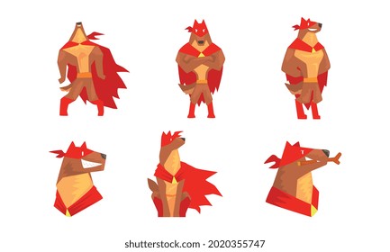 Muscular Brown Dog in Superhero Red Cloak as Guard Vector Set