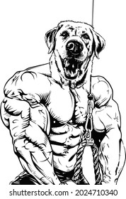 Muscular dog vector illustration in training