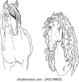 muscular house horse linear drawing. animal in motion picture. design of a booklet, flyer, invitation to an exhibition of animals, riding horses. template, clipart, doodle for antistress coloring book