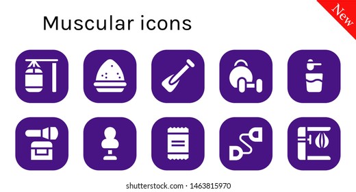 muscular icon set. 10 filled muscular icons.  Collection Of - Punching bag, Powder, Rowing, Weightlifting, Chest expander