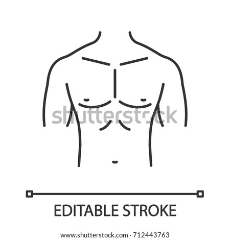muscular male chest linear icon thin stock vector royalty free