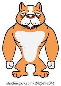 Personajes musculosos de dibujos animados de Pitbull Dog con collar de perro y de pie como guardián. Mejor para pegatina, logotipo y mascota con temas de mascotas