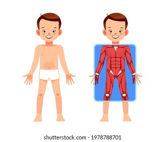 Cuerpo del sistema muscular. Un chico lindo con pantalla de rayos X que muestra la anatomía del sistema muscular. Mi cuerpo, elementos del afiche de infografía educativa para niños. Ilustración de dibujos animados vectoriales.