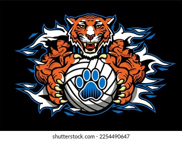 muscular tiger mascot holding volleyball for school, college or league sports