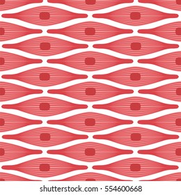 Muscular Tissue Seamless Pattern. Stock Vector Illustration Of Muscle Cells In Rows. Medicine And Biology Collection