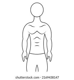 Torso muscular de un hombre. Esbozo. Ilustración vectorial. Cuerpo atlético de un joven. Persona desconocida. Esquema sobre fondo aislado. Estilo Doodle. 