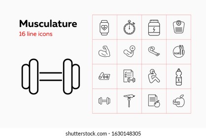 Musculature icons. Set of line icons. Bodybuilding, dieting, sport nutrition. Fitness concept. Vector illustration can be used for topics like healthy lifestyle, sport, losing weight