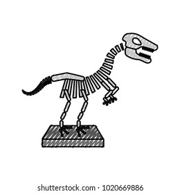 Museum dinosaur skeleton icon