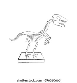 Museum dinosaur skeleton icon