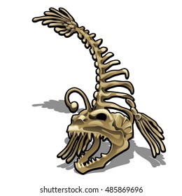 Museum exhibit the skeleton of a fish anglerfish isolated on white background. Vector illustration.